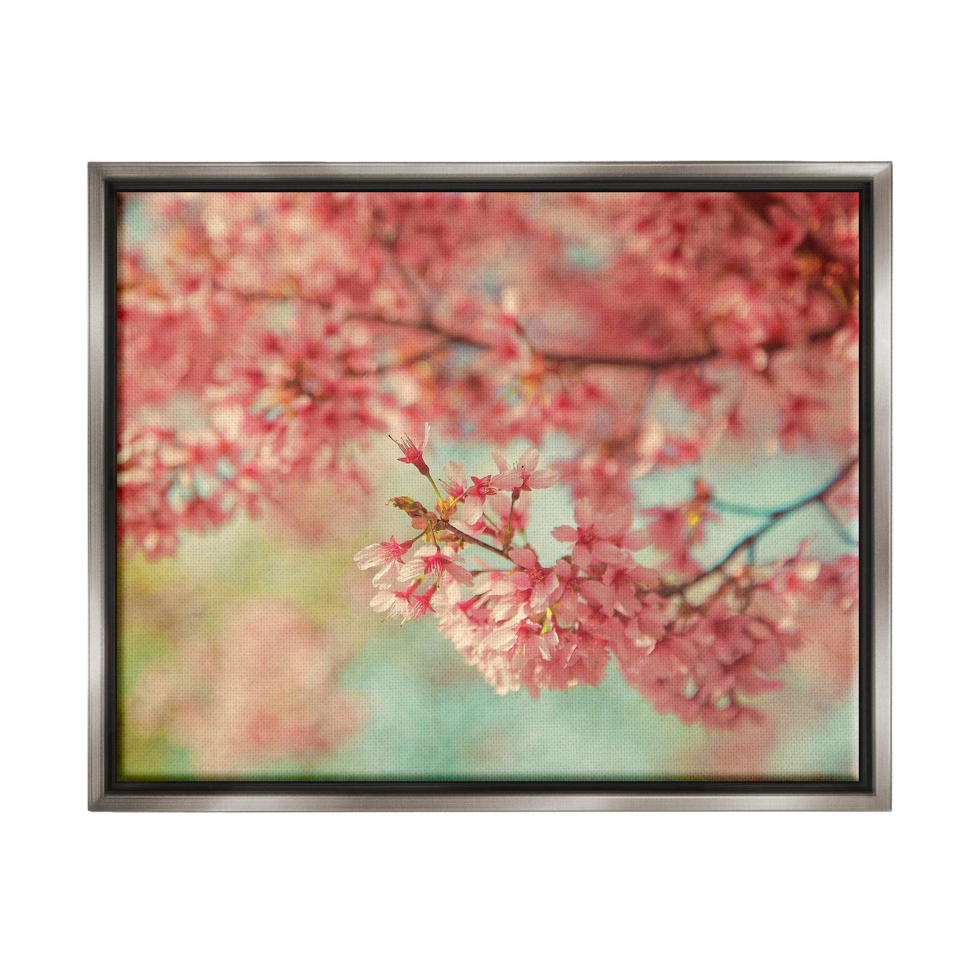 Stupell Industries Pink Cherry Blossoms Botanical & Floral Photography Gray Floater Framed Canvas Art Print Wall Art, 21 x 17