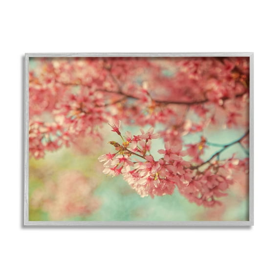 Stupell Industries Pink Cherry Blossoms Botanical & Floral Photography Gray Framed Art Print Wall Art, 30 x 24