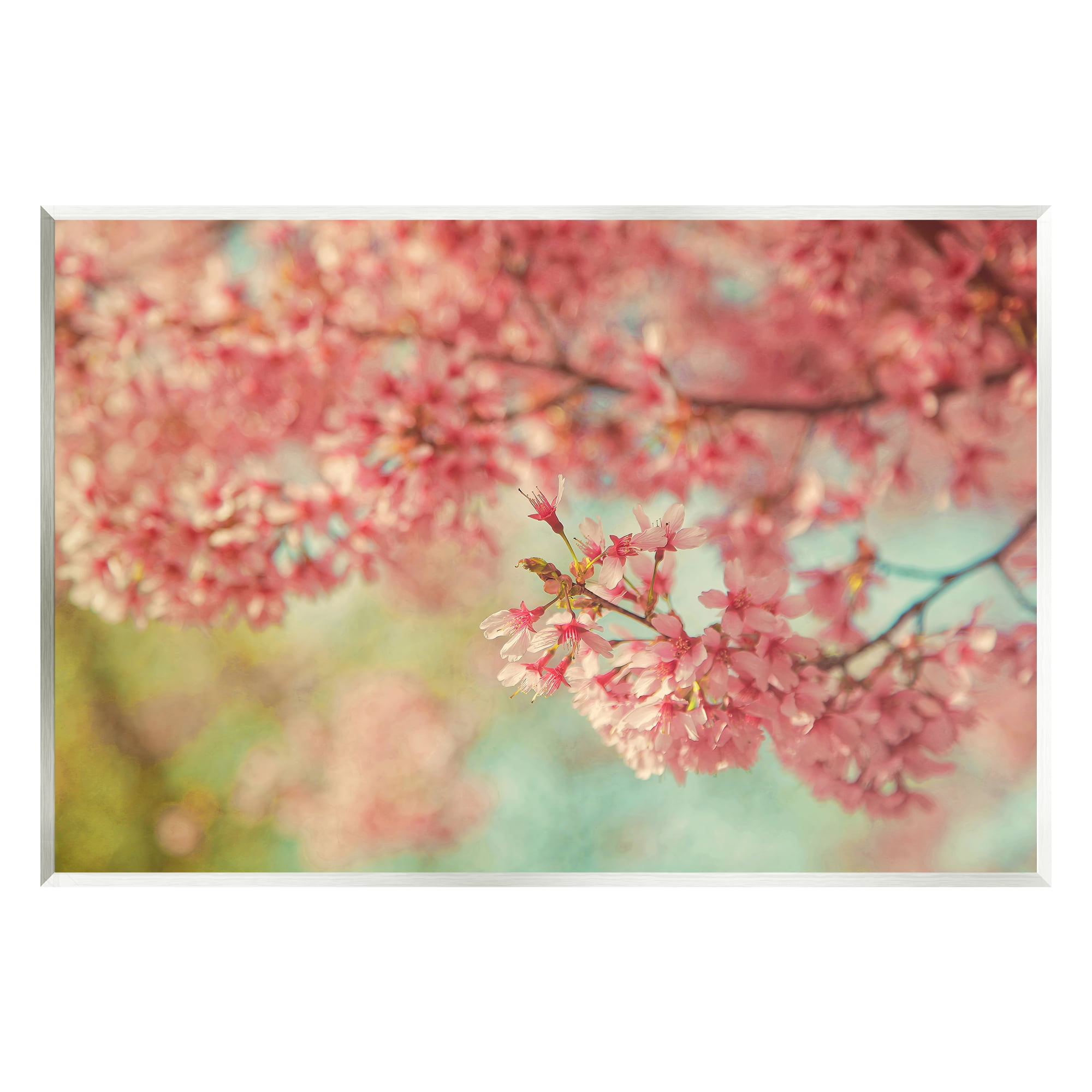 Stupell Industries Pink Cherry Blossoms Botanical & Floral Photography Unframed Art Print Wall Art, 19 x 13