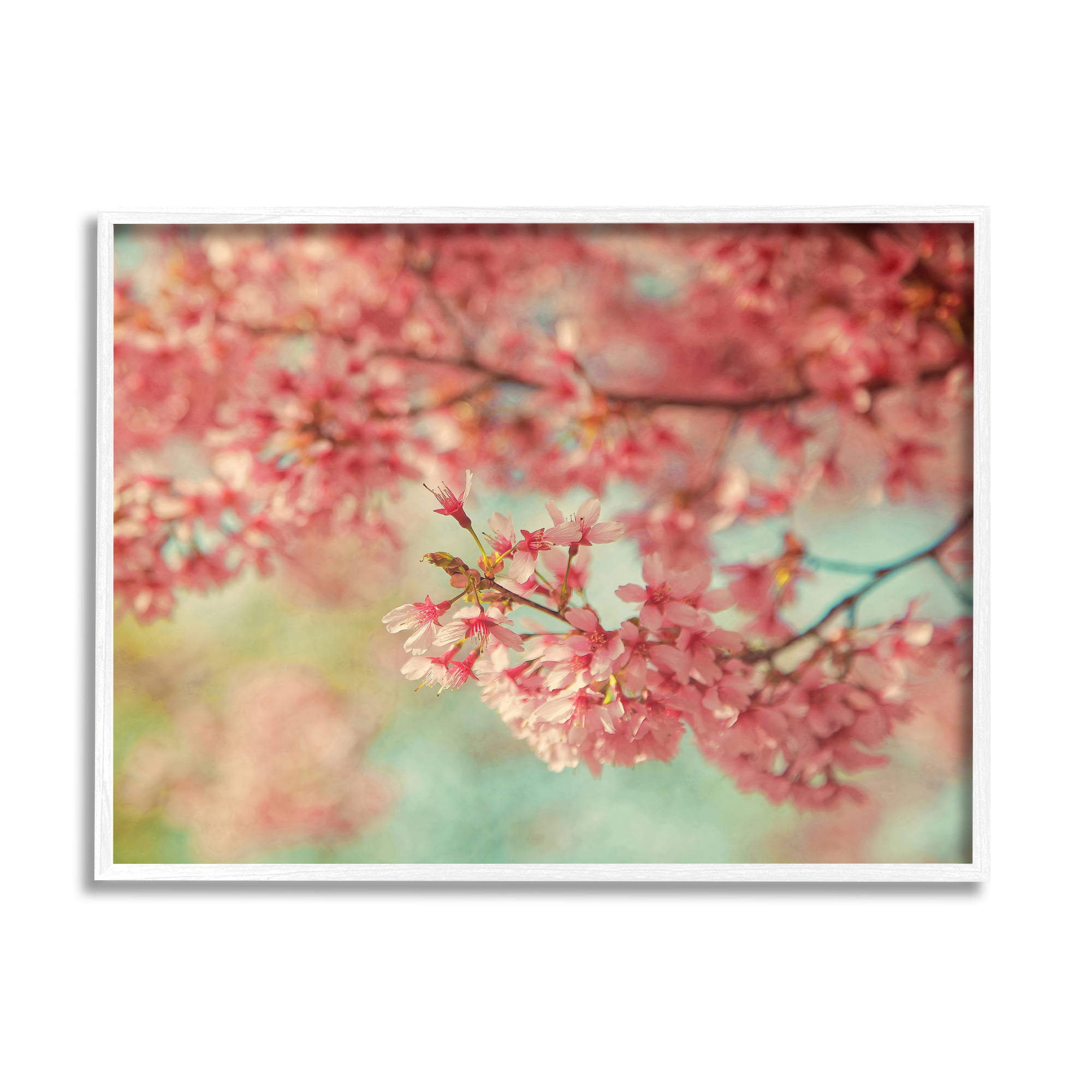 Stupell Industries Pink Cherry Blossoms Botanical & Floral Photography White Framed Art Print Wall Art, 14 x 11