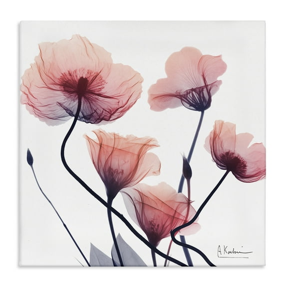 Stupell Industries Pink Chic Simple Flowers Floral Photography Wrapped Canvas Canvas Art Print Wall Art, 17 x 17