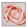 thumbnail image 1 of Stupell Industries Pink Close Up Rose Botanical & Floral Photography Gray Framed Art Print Wall Art, 17 x 17, 1 of 9