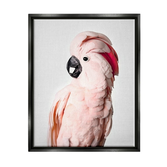 Stupell Industries Pink Cockatoo Photography Animals & Insects Photography Black Floater Framed Art Print Wall Art, 17 x 21