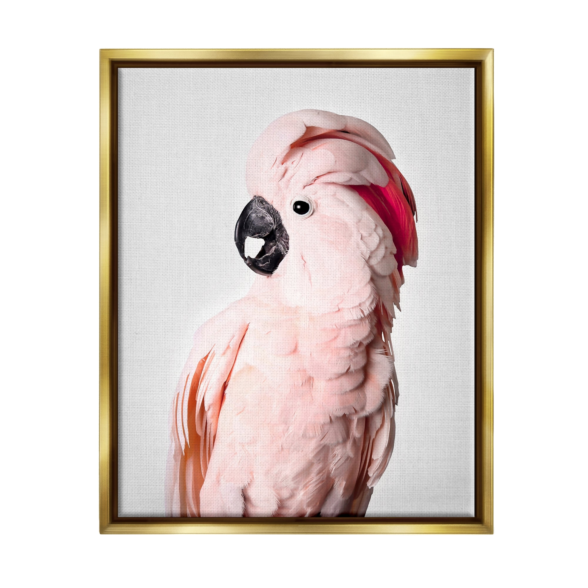 Stupell Industries Pink Cockatoo Photography Animals & Insects Photography Gold Floater Framed Art Print Wall Art, 17 x 21