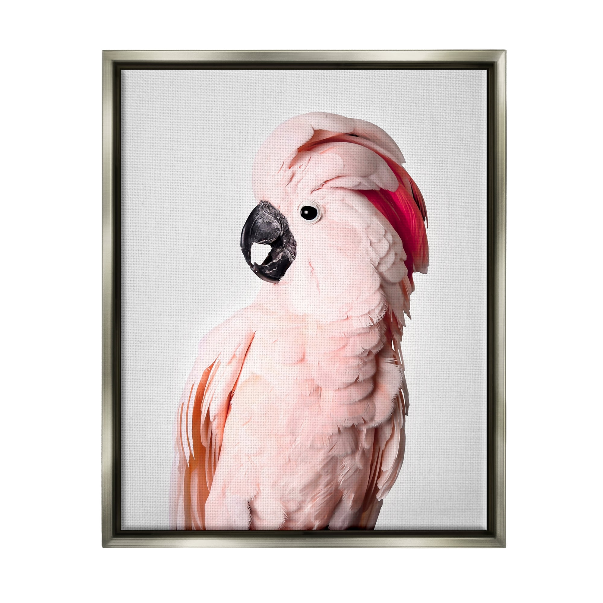Stupell Industries Pink Cockatoo Photography Animals & Insects Photography Gray Floater Framed Art Print Wall Art, 25 x 31