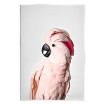Stupell Industries Pink Cockatoo Photography Animals & Insects Photography Unframed Art Print Wall Art, 10 x 15