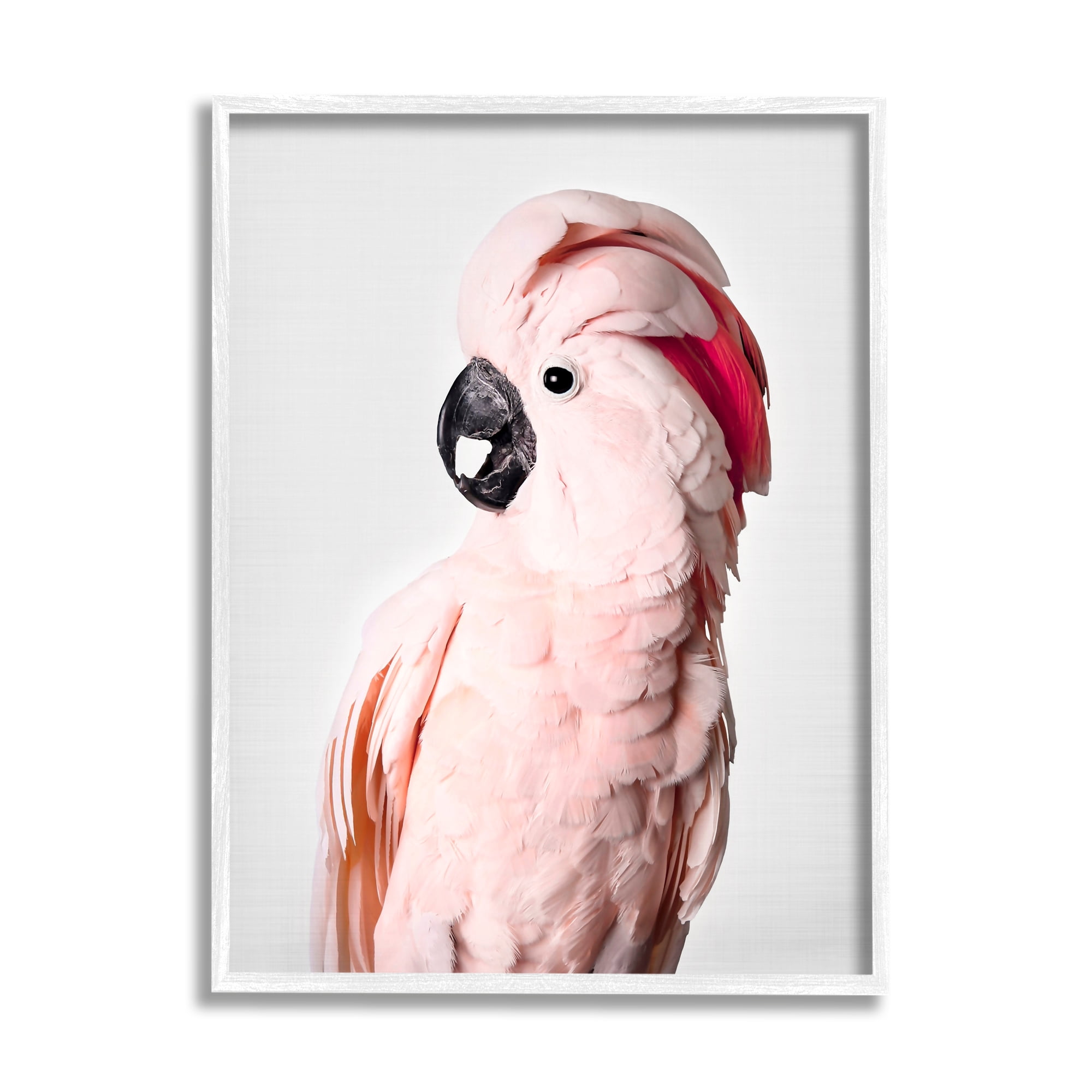 Stupell Industries Pink Cockatoo Photography Animals & Insects Photography White Framed Art Print Wall Art, 24 x 30