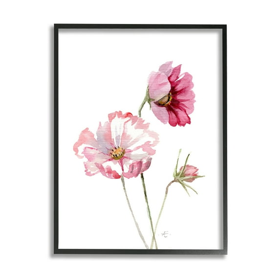 Stupell Industries Pink Cosmo Florals Spring Bloom Floral Watercolor Botanical & Floral Painting Black Framed Art Print Wall Art, 11 x 14