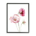 thumbnail image 1 of Stupell Industries Pink Cosmo Florals Spring Bloom Floral Watercolor Botanical & Floral Painting Black Framed Art Print Wall Art, 16 x 20, 1 of 7