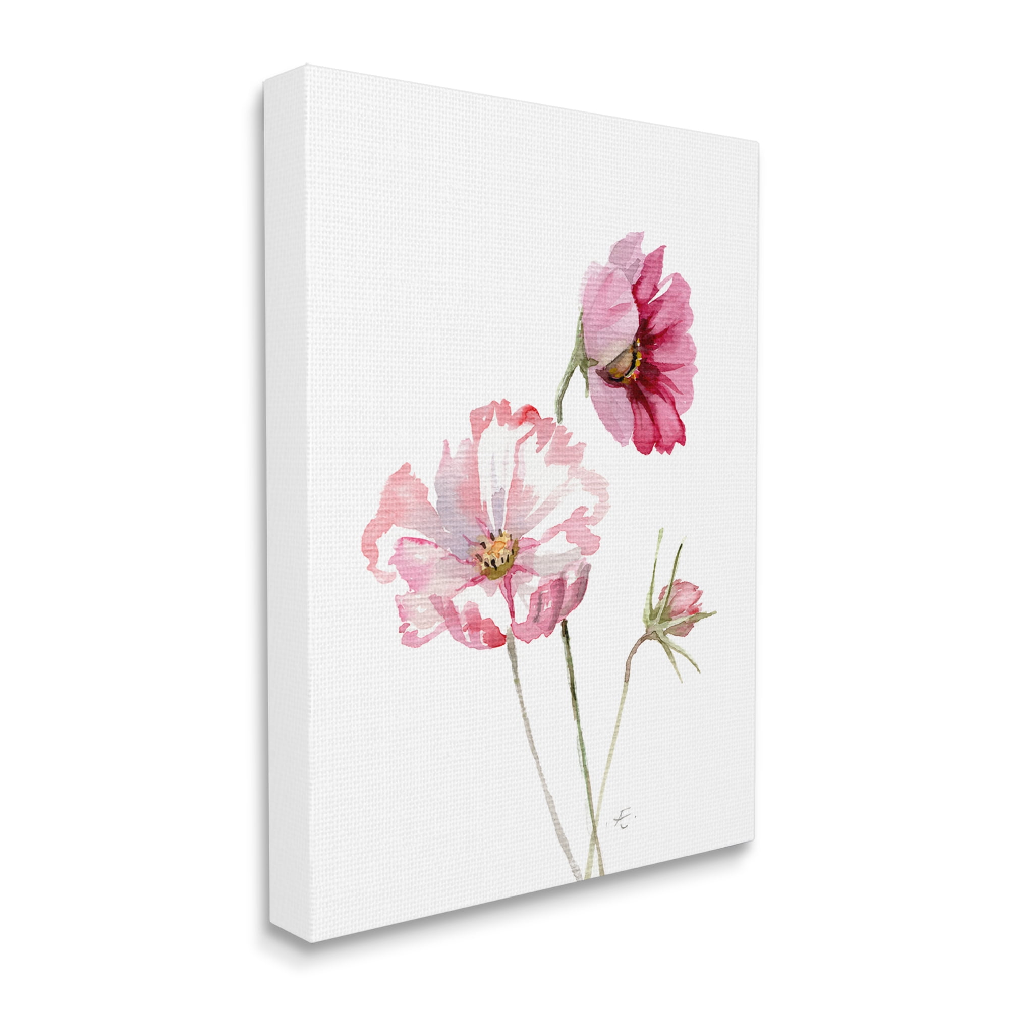 Stupell Industries Pink Cosmo Florals Spring Bloom Floral Watercolor Botanical & Floral Painting Gallery Wrapped Canvas Print Wall Art, 30 x 40