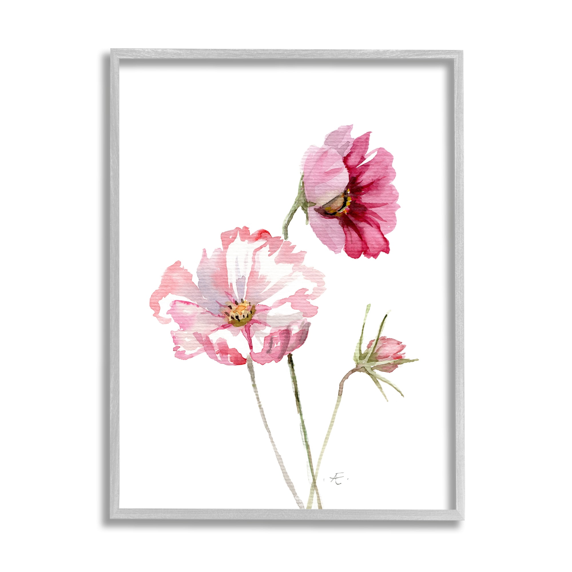 Stupell Industries Pink Cosmo Florals Spring Bloom Floral Watercolor Botanical & Floral Painting Gray Framed Art Print Wall Art, 24 x 30