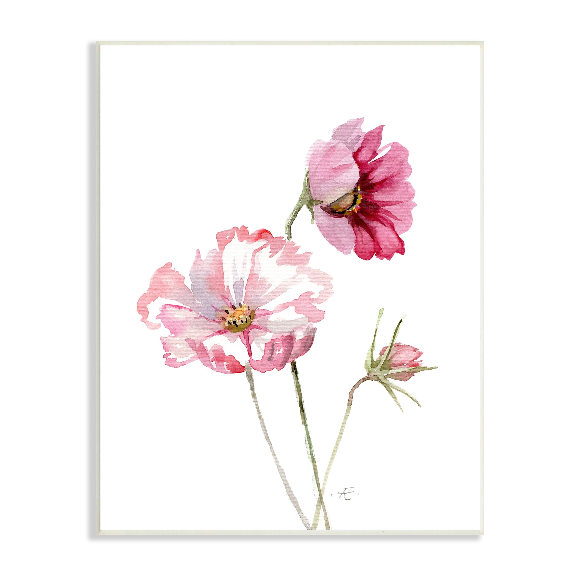 Stupell Industries Pink Cosmo Florals Spring Bloom Floral Watercolor Botanical & Floral Painting Unframed Art Print Wall Art, 10 x 15