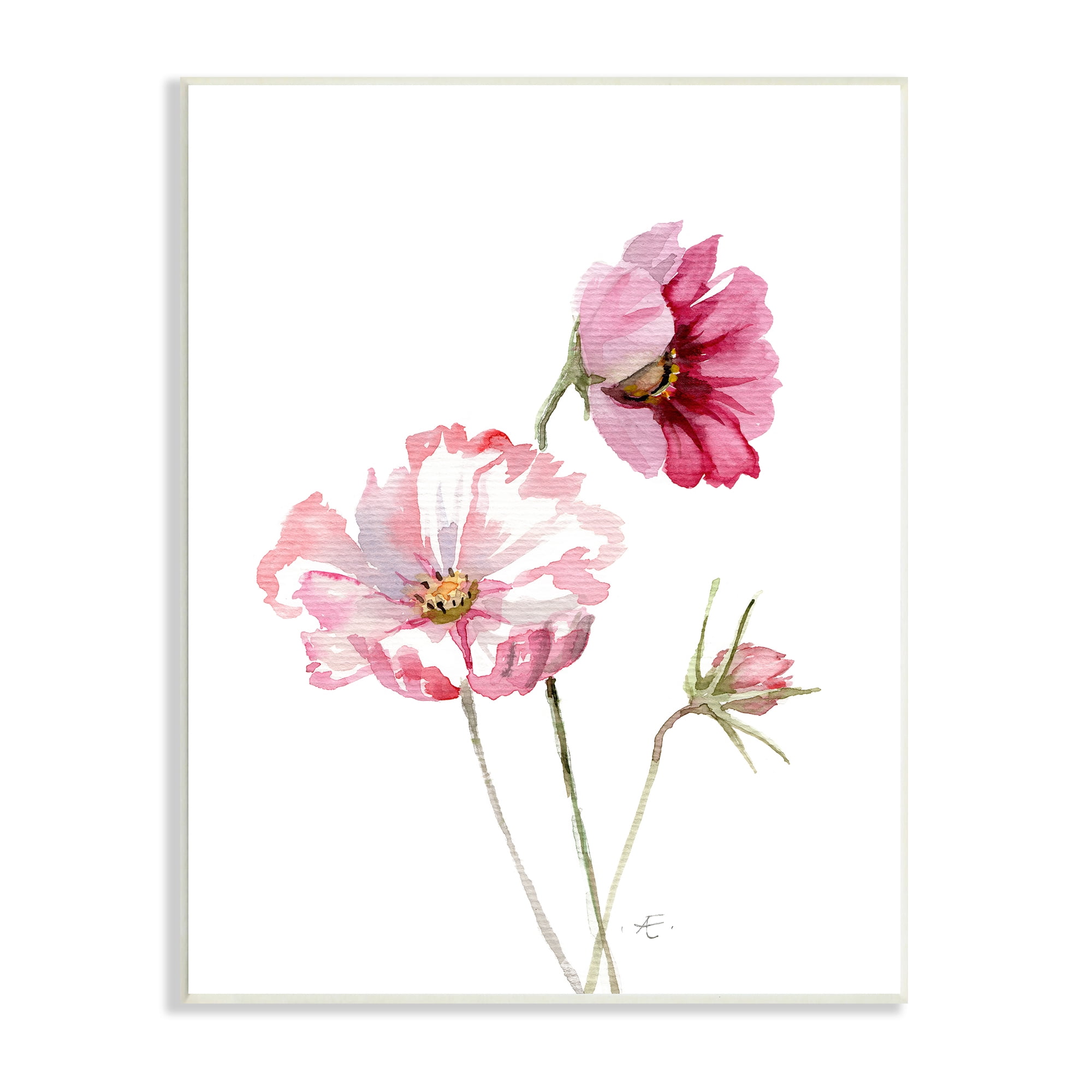 Stupell Industries Pink Cosmo Florals Spring Bloom Floral Watercolor Botanical & Floral Painting Unframed Art Print Wall Art, 13 x 19