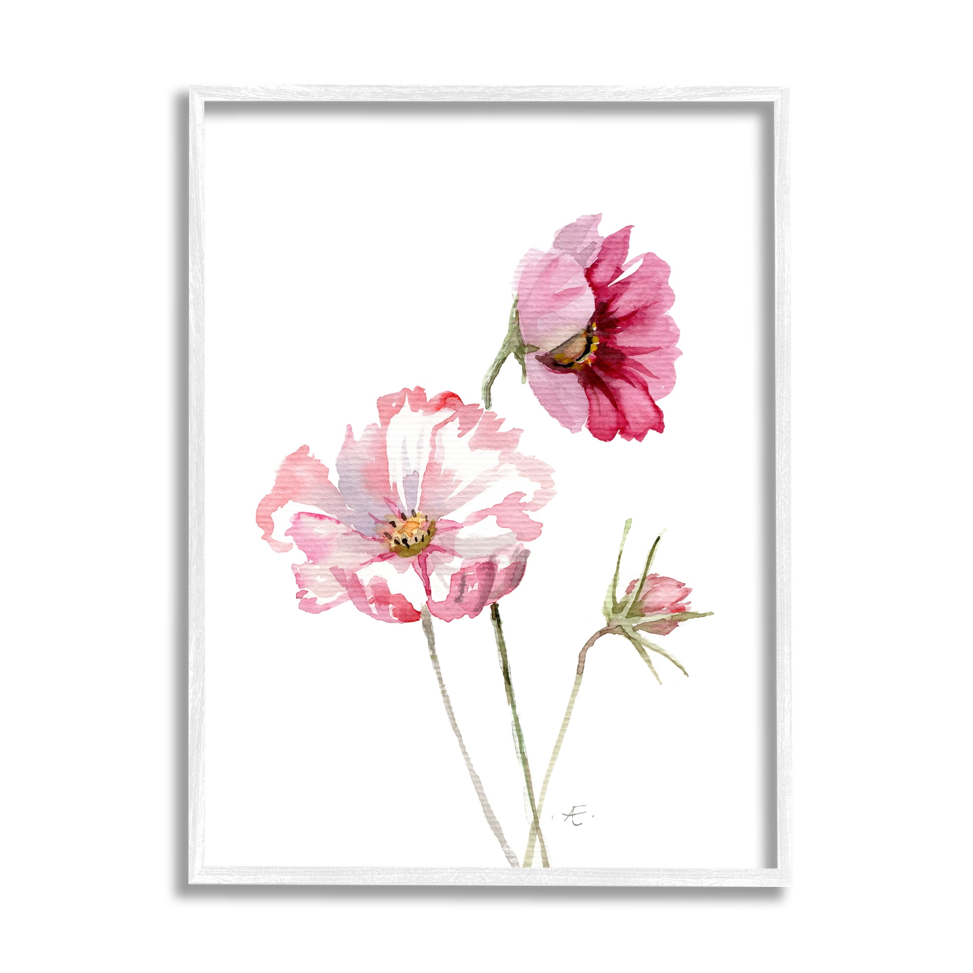 Stupell Industries Pink Cosmo Florals Spring Bloom Floral Watercolor Botanical & Floral Painting White Framed Art Print Wall Art, 11 x 14