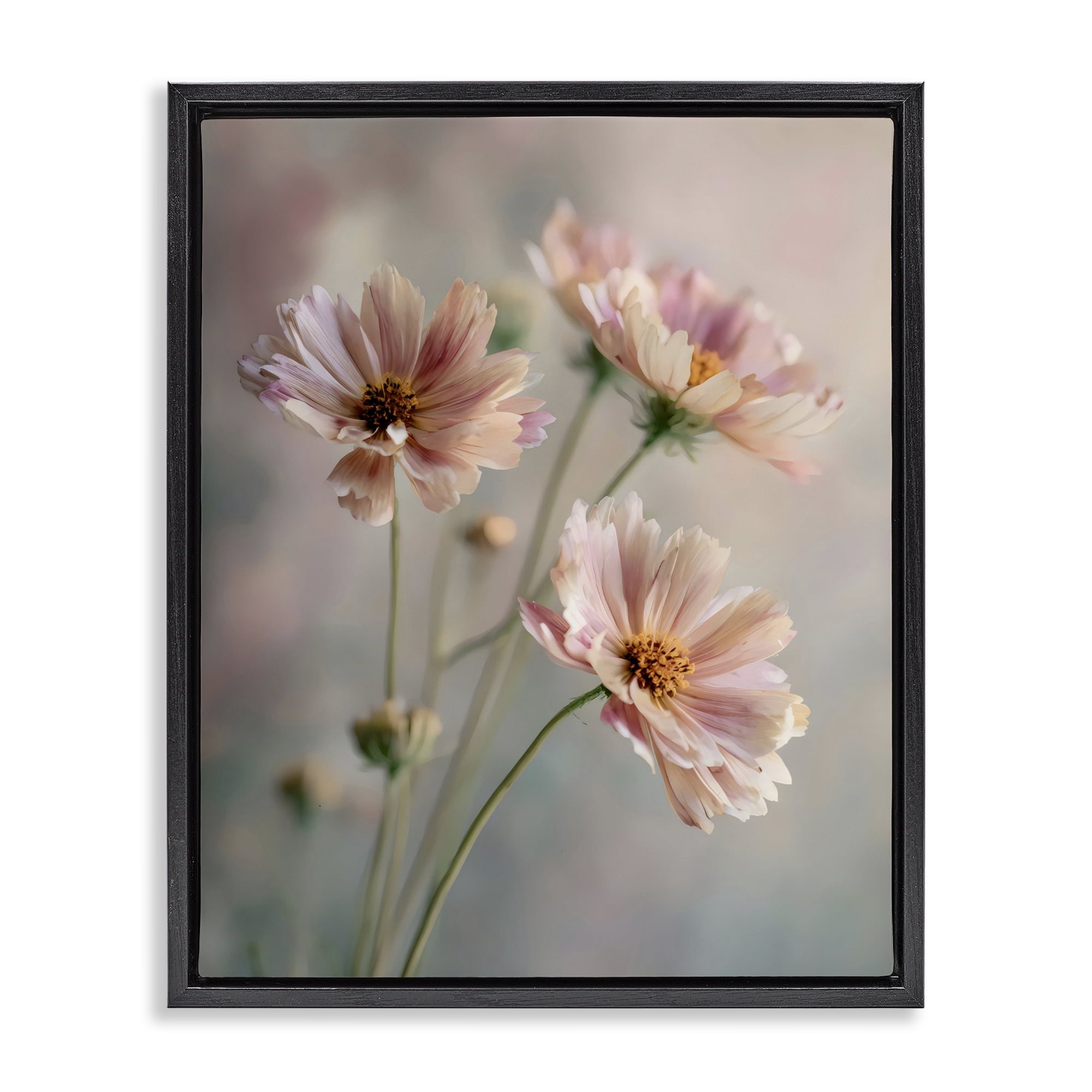 Stupell Industries Pink Daisies Close Up Black Framed Floater Canvas Wall Art, design by Franklyn Gregory