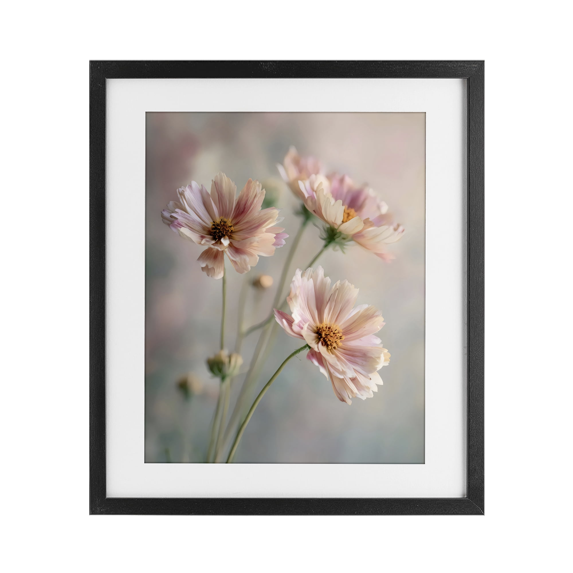 Stupell Industries Pink Daisies Close Up Black Framed Print Under Glass, design by Franklyn Gregory