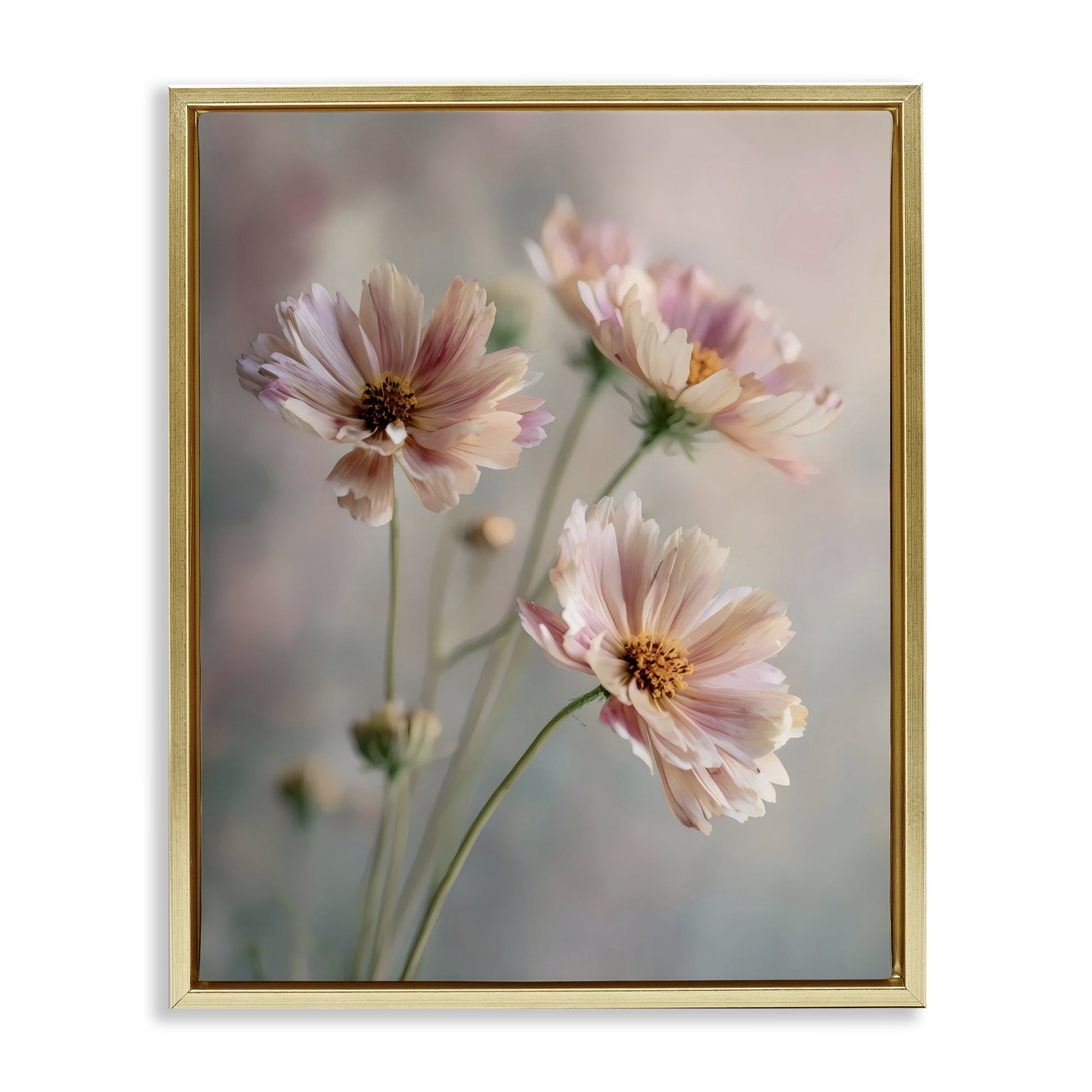 Stupell Industries Pink Daisies Close Up Gold Framed Floater Canvas Wall Art, design by Franklyn Gregory