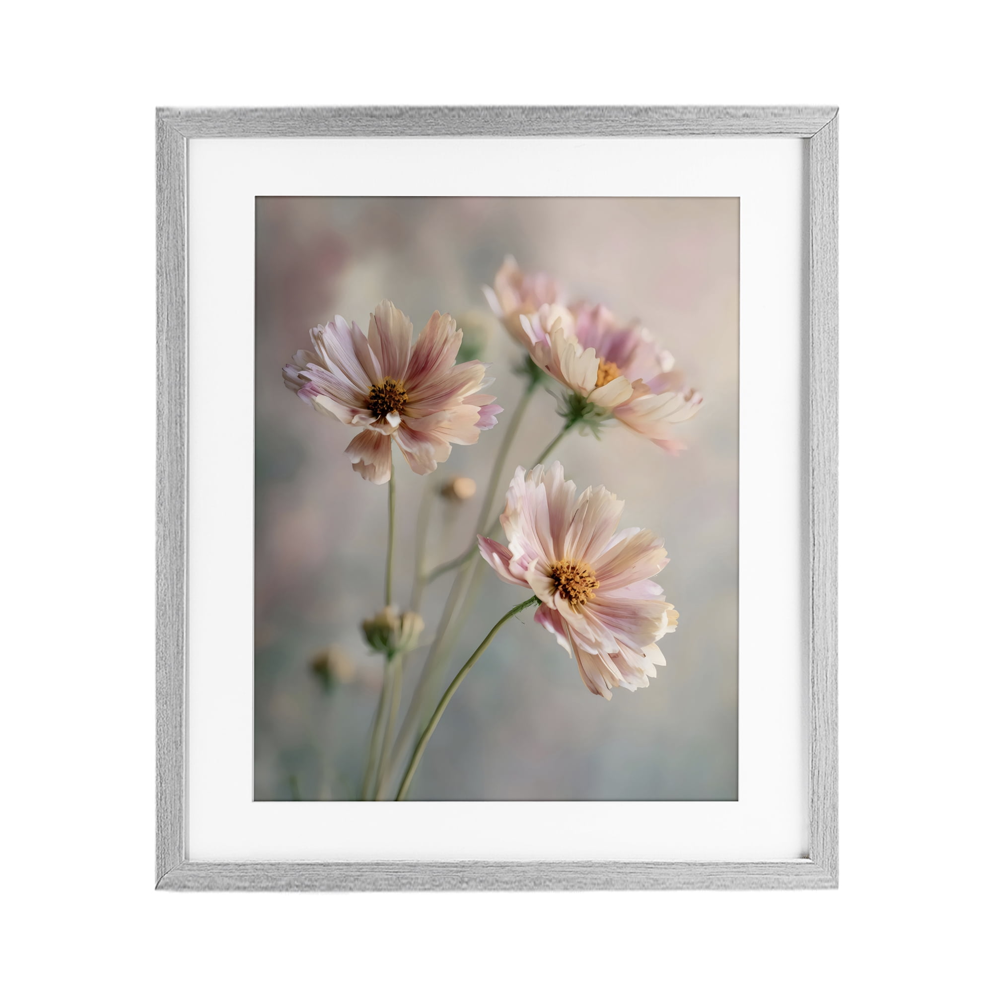 Stupell Industries Pink Daisies Close Up Gray Framed Print Under Glass, design by Franklyn Gregory