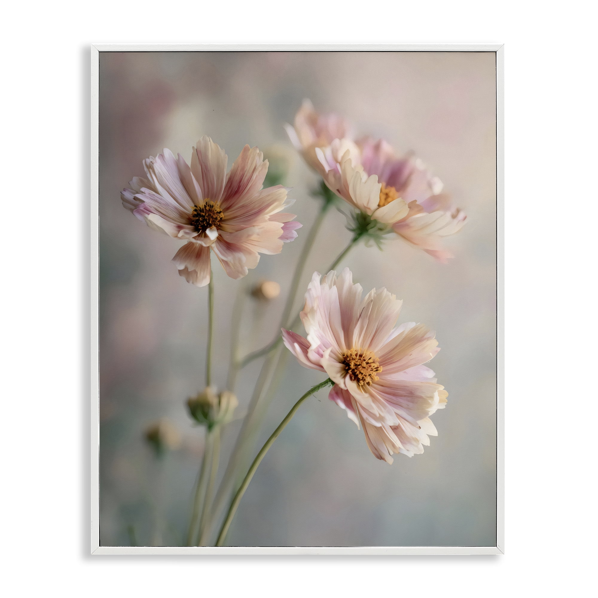 Stupell Industries Pink Daisies Close Up White Framed Giclee Art, design by Franklyn Gregory