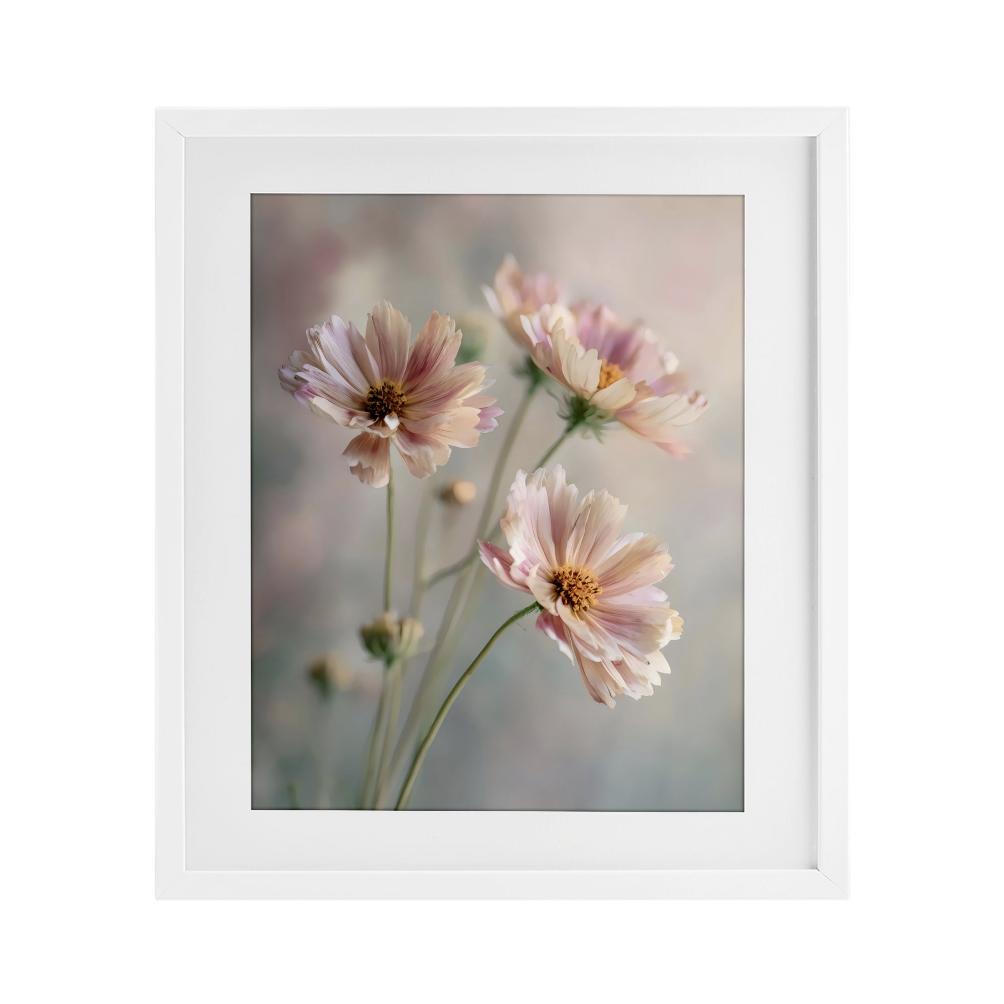 Stupell Industries Pink Daisies Close Up White Framed Print Under Glass, design by Franklyn Gregory