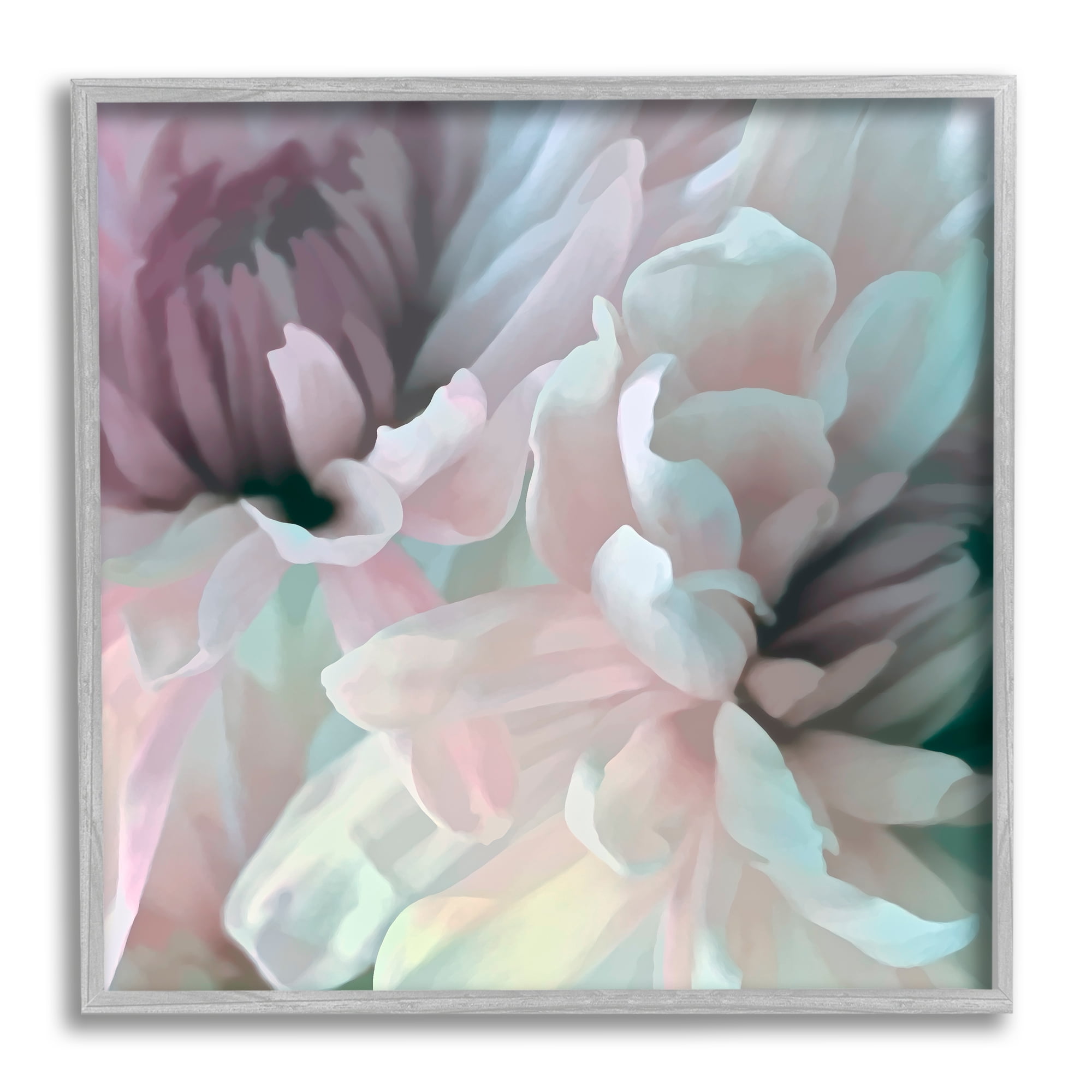 Stupell Industries Pink Floral Petal Study Blush Tone Flowers, 24 x 24, Designed by David Pollard