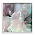 thumbnail image 1 of Stupell Industries Pink Floral Petal Study Blush Tone Flowers, 24 x 24, Designed by David Pollard, 1 of 7