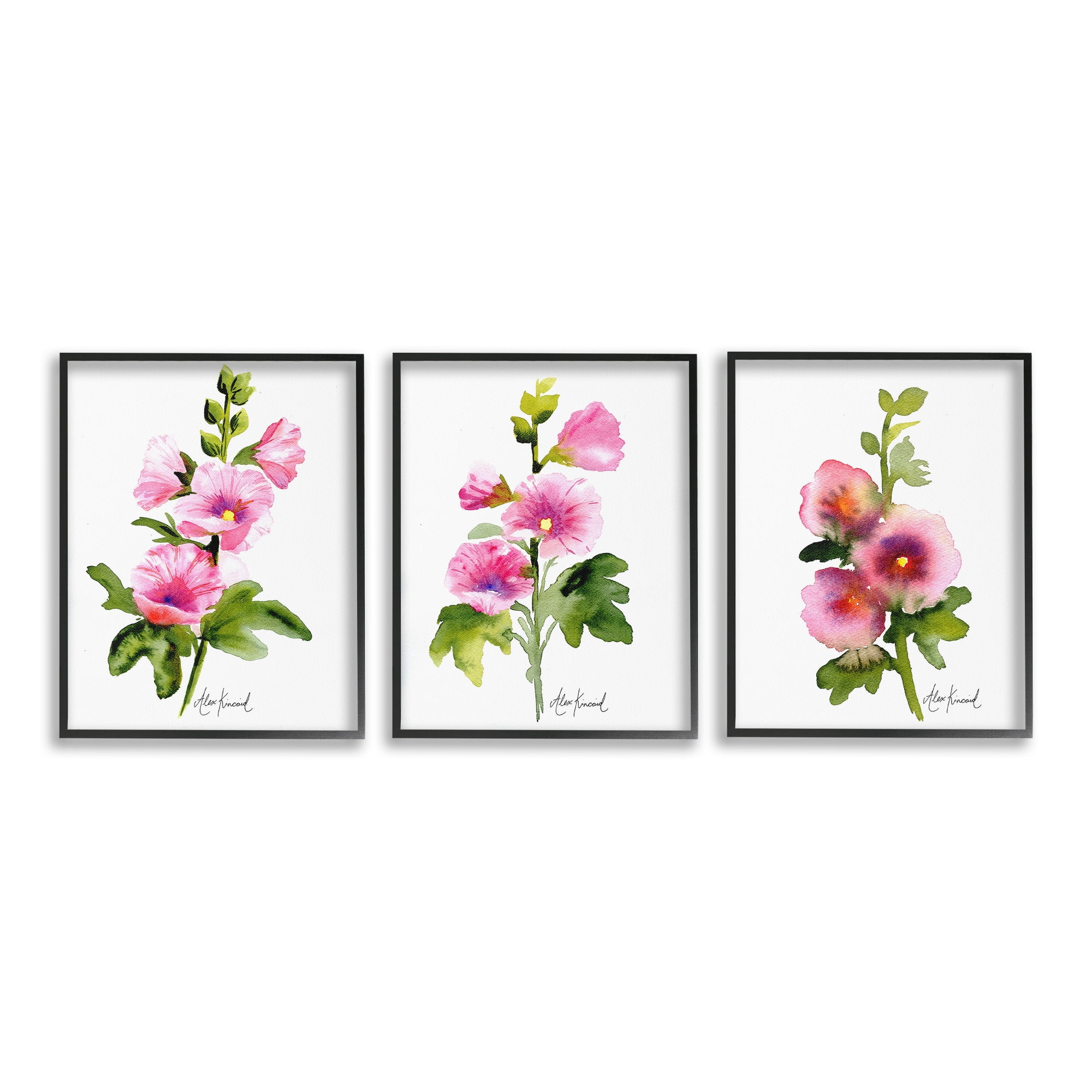 Stupell Industries Pink Flower Watercolors Botanical & Floral Painting Black Framed Art Print Wall Art, 24 x 30, Set of 3