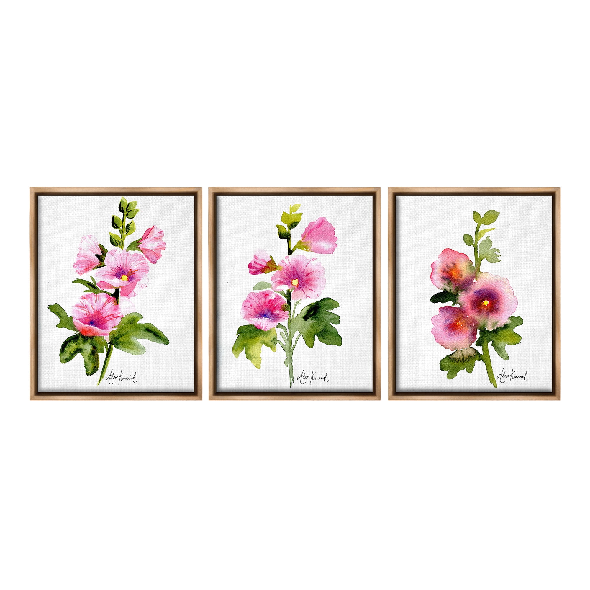 Stupell Industries Pink Flower Watercolors Botanical & Floral Painting Brown Floater Framed Canvas Art Print Wall Art, 17 x 21, Set of 3