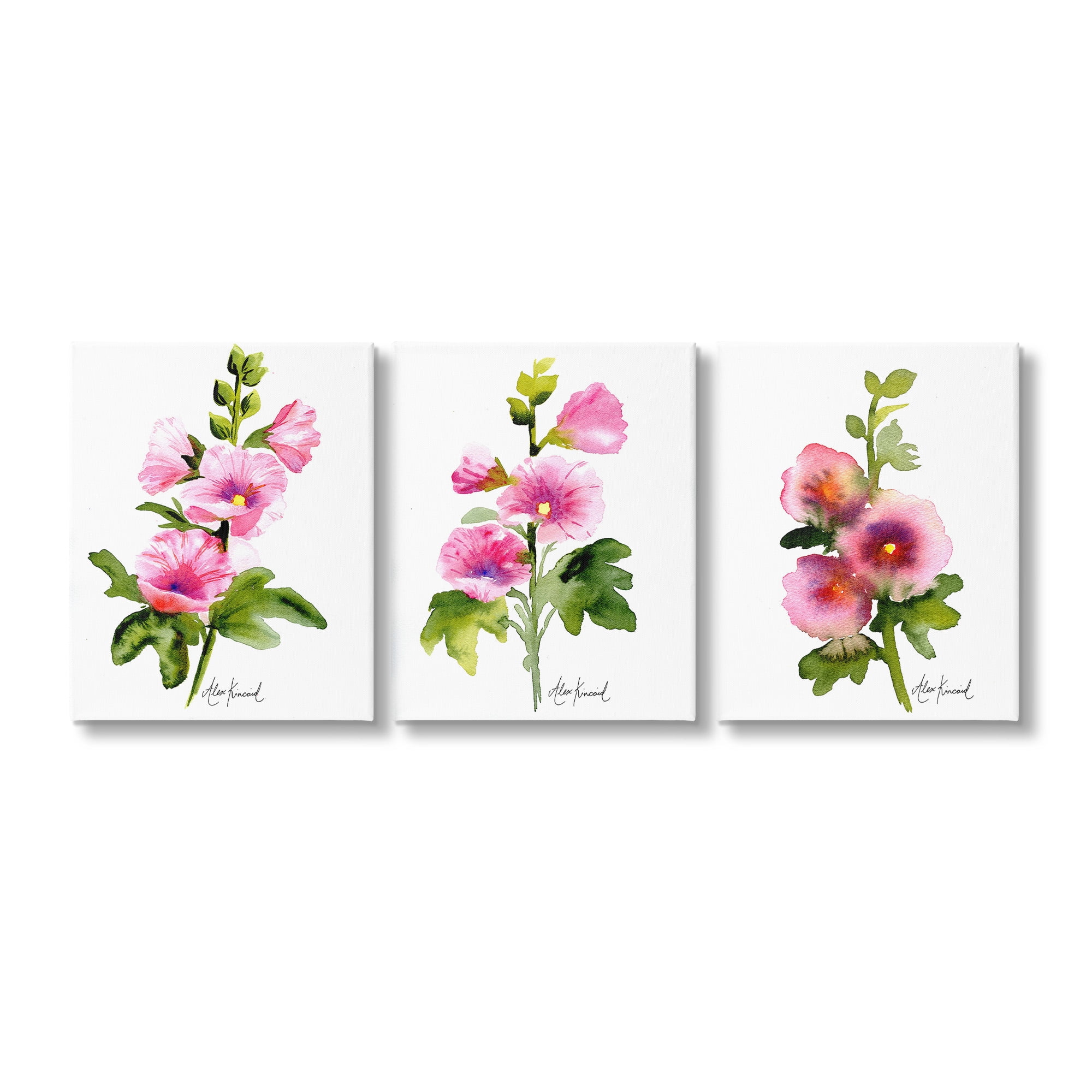 Stupell Industries Pink Flower Watercolors Botanical & Floral Painting Gallery Wrapped Canvas Art Print Wall Art, 11 x 14, Set of 3