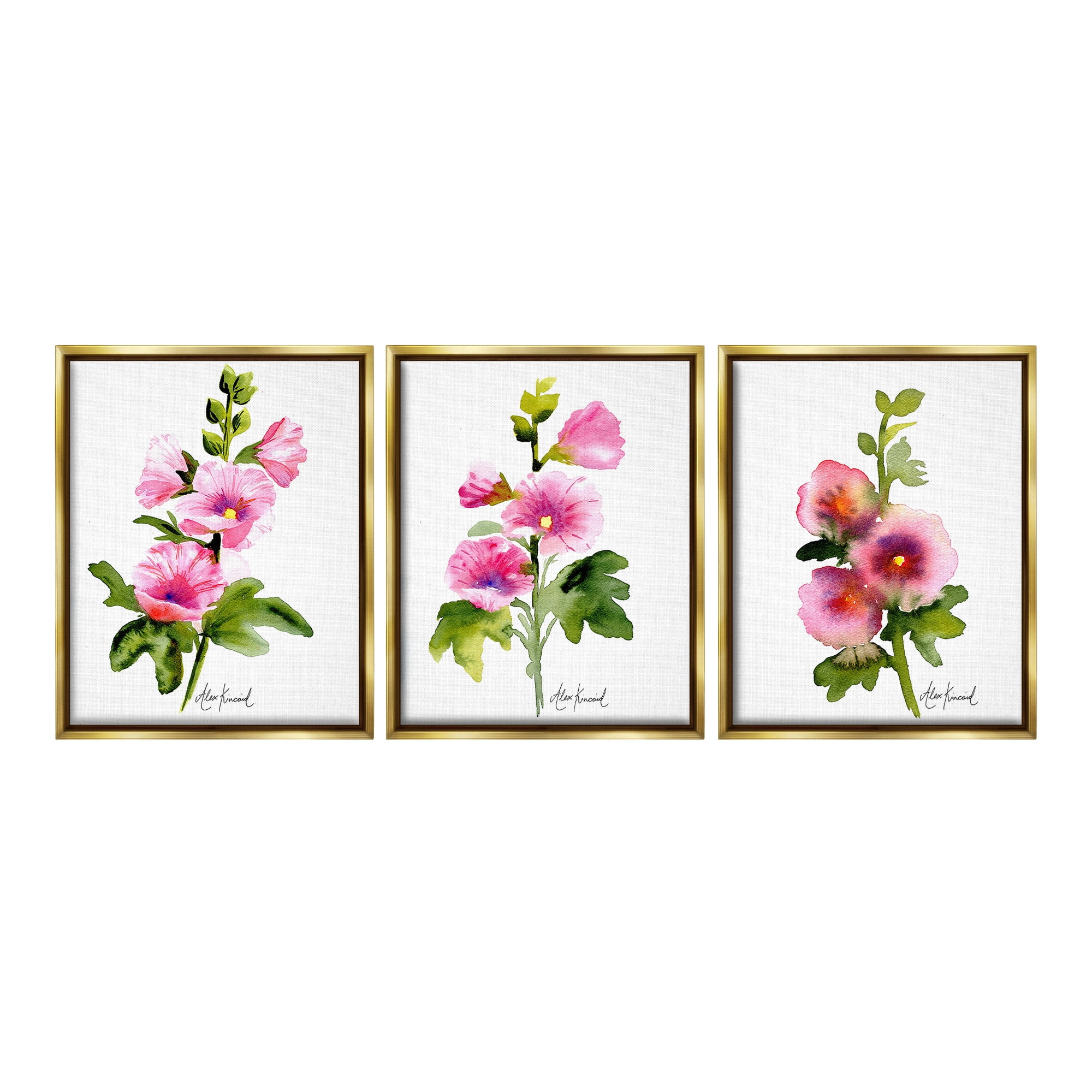 Stupell Industries Pink Flower Watercolors Botanical & Floral Painting Gold Floater Framed Canvas Art Print Wall Art, 17 x 21, Set of 3