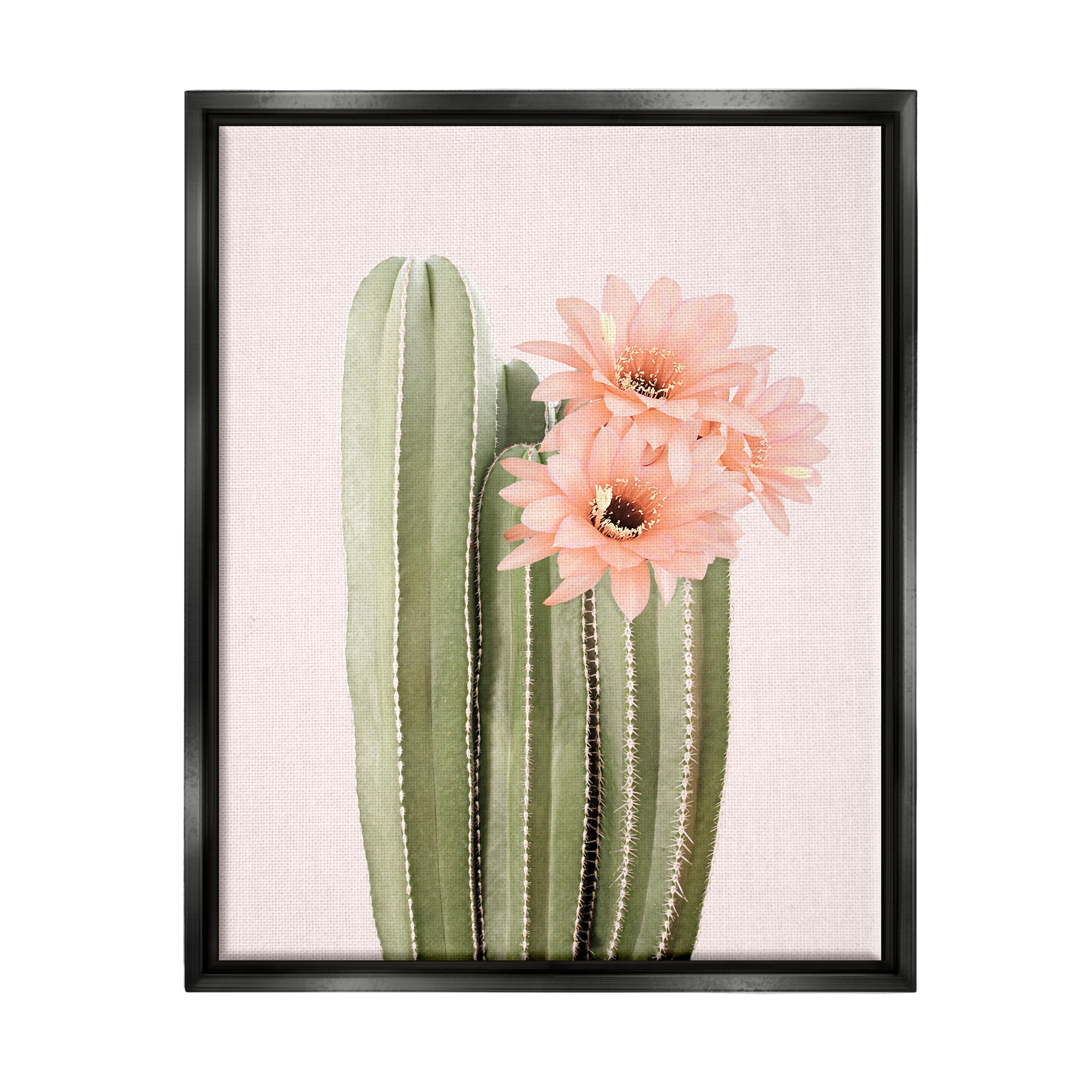 Stupell Industries Pink Flower on Cactus Botanical & Floral Painting Black Floater Framed Art Print Wall Art, 17 x 21