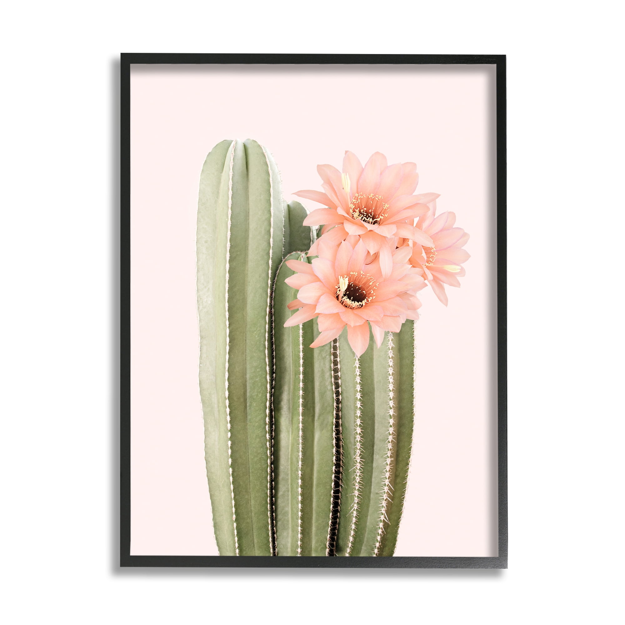 Stupell Industries Pink Flower on Cactus Botanical & Floral Painting Black Framed Art Print Wall Art, 11 x 14