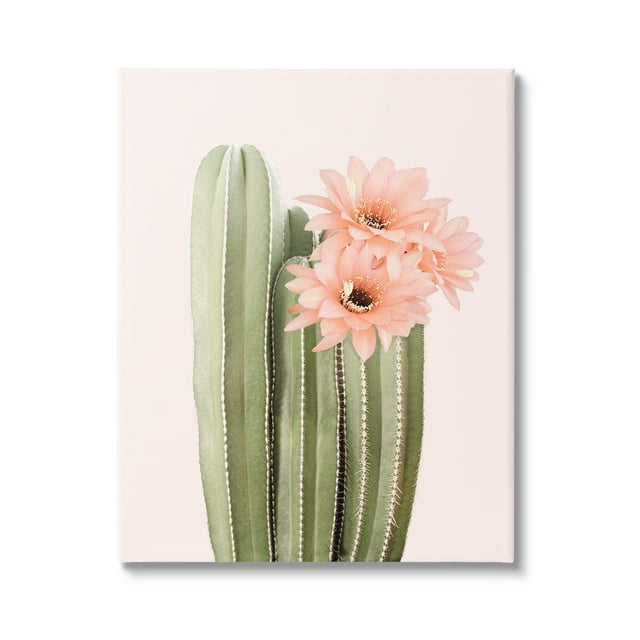 Stupell Industries Pink Flower on Cactus Botanical & Floral Painting Gallery Wrapped Canvas Print Wall Art, 24 x 30