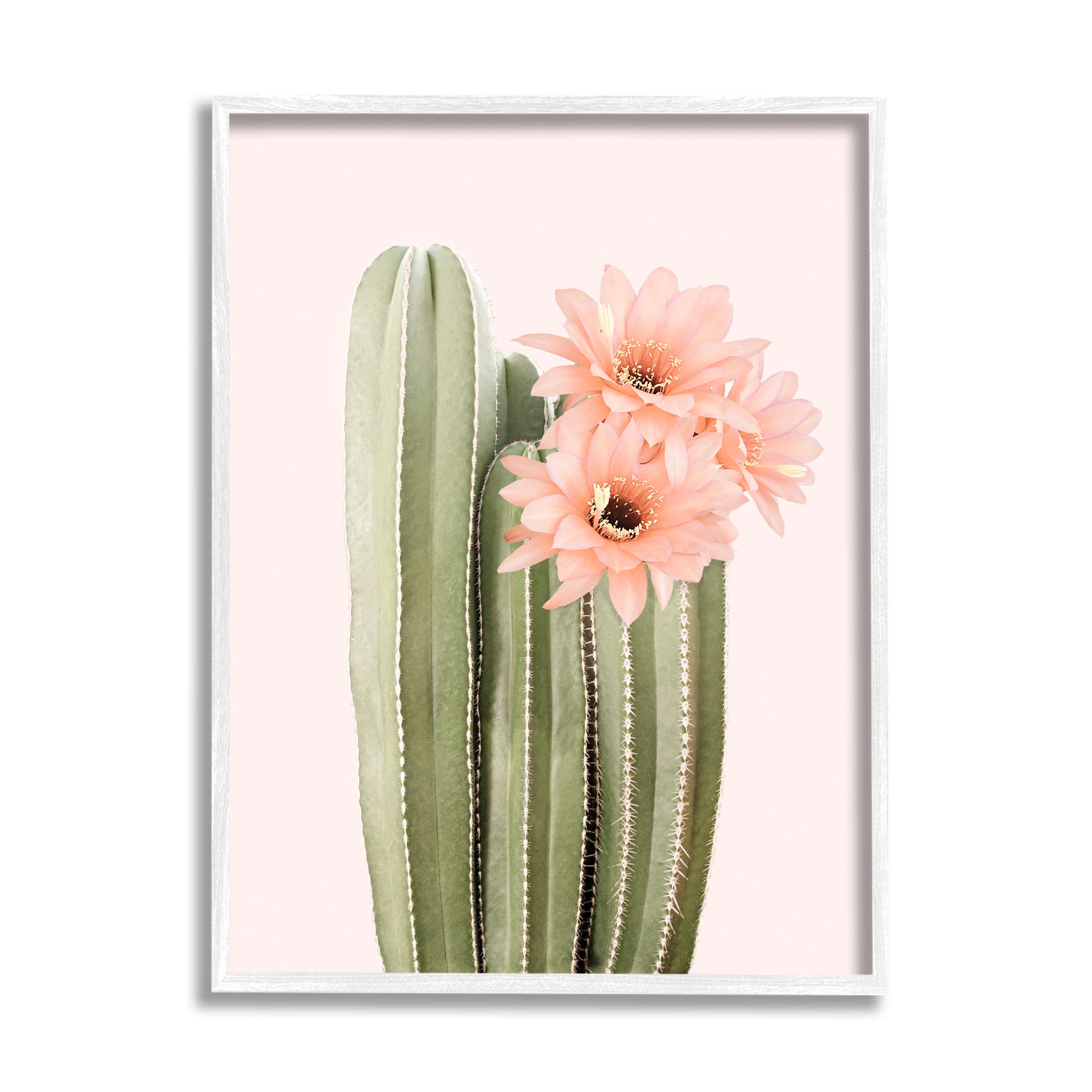 Stupell Industries Pink Flower on Cactus Botanical & Floral Painting White Framed Art Print Wall Art, 11 x 14