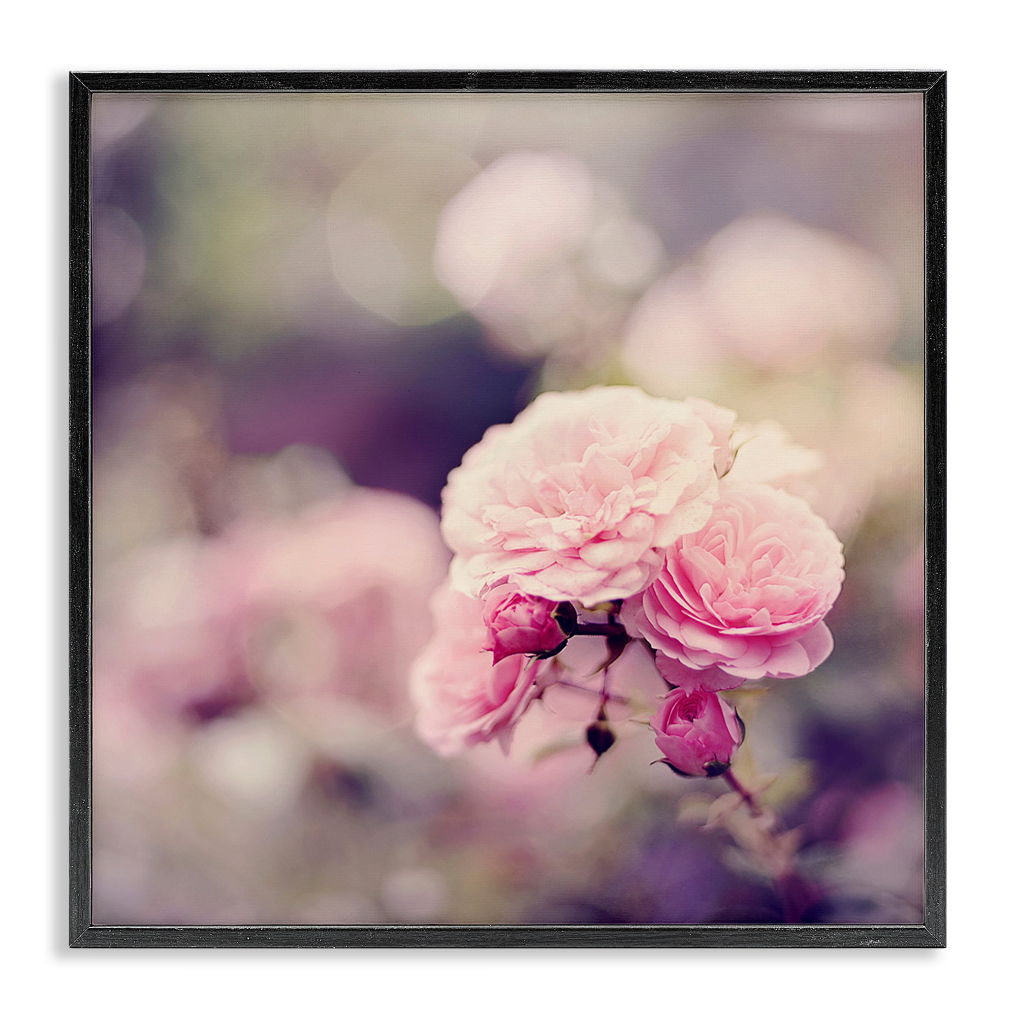 Stupell Industries Pink Garden Ranunculus Plants & Flowers Photography Black Framed Art Print Wall Art, 12 x 12