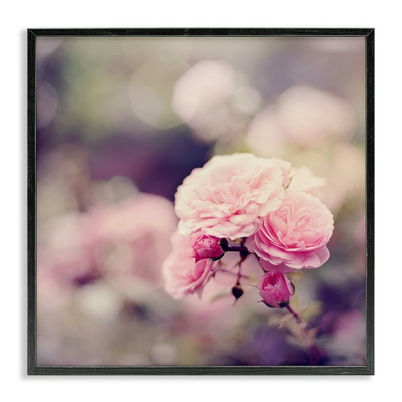 Stupell Industries Pink Garden Ranunculus Plants & Flowers Photography Black Framed Art Print Wall Art, 12 x 12