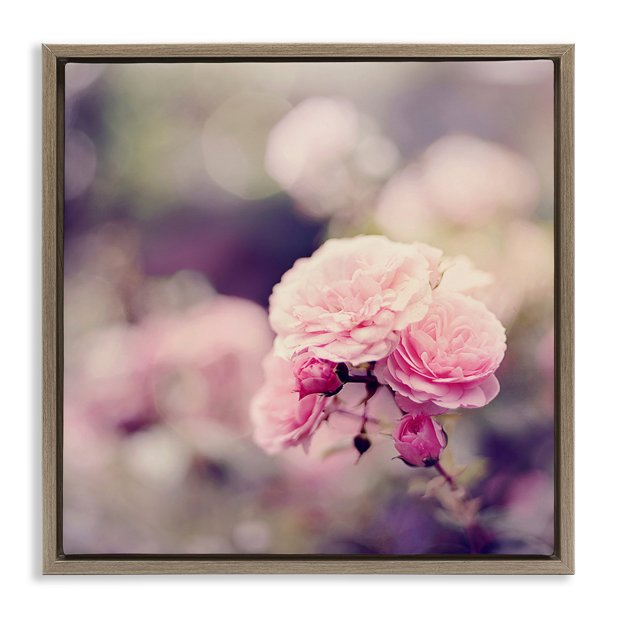 Stupell Industries Pink Garden Ranunculus Plants & Flowers Photography Brown Floater Framed Canvas Art Print Wall Art, 25 x 25