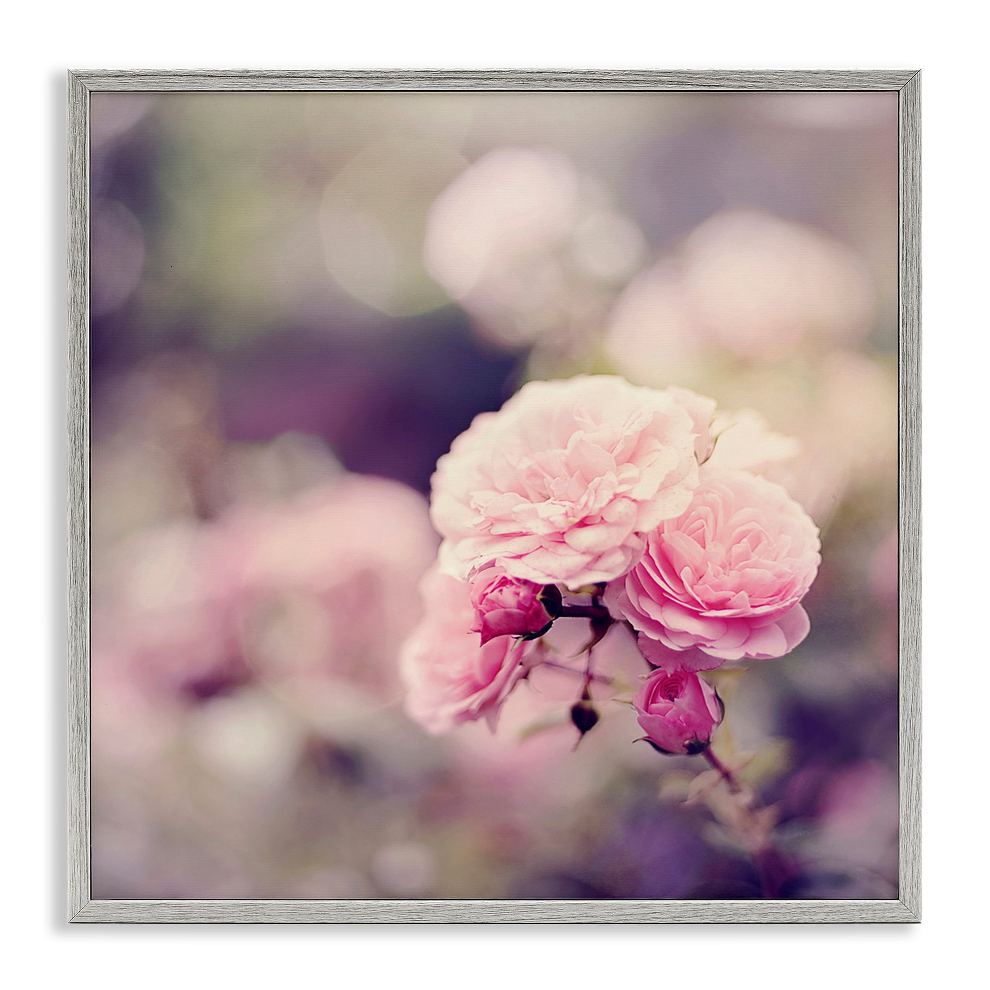Stupell Industries Pink Garden Ranunculus Plants & Flowers Photography Gray Framed Art Print Wall Art, 24 x 24