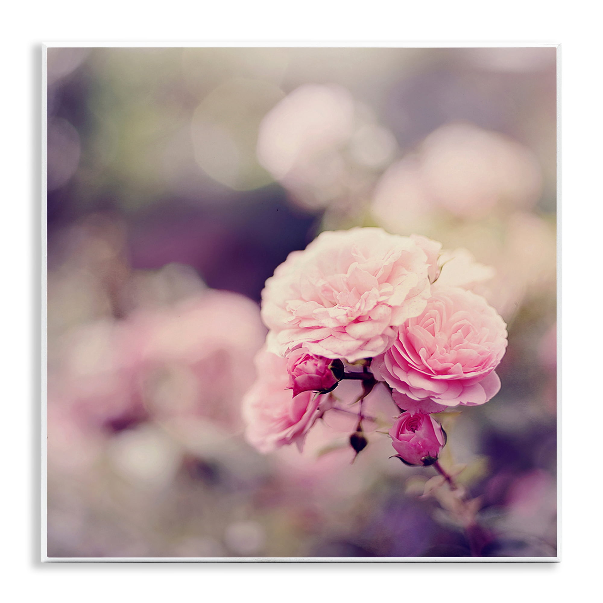 Stupell Industries Pink Garden Ranunculus Plants & Flowers Photography Unframed Art Print Wall Art, 12 x 12