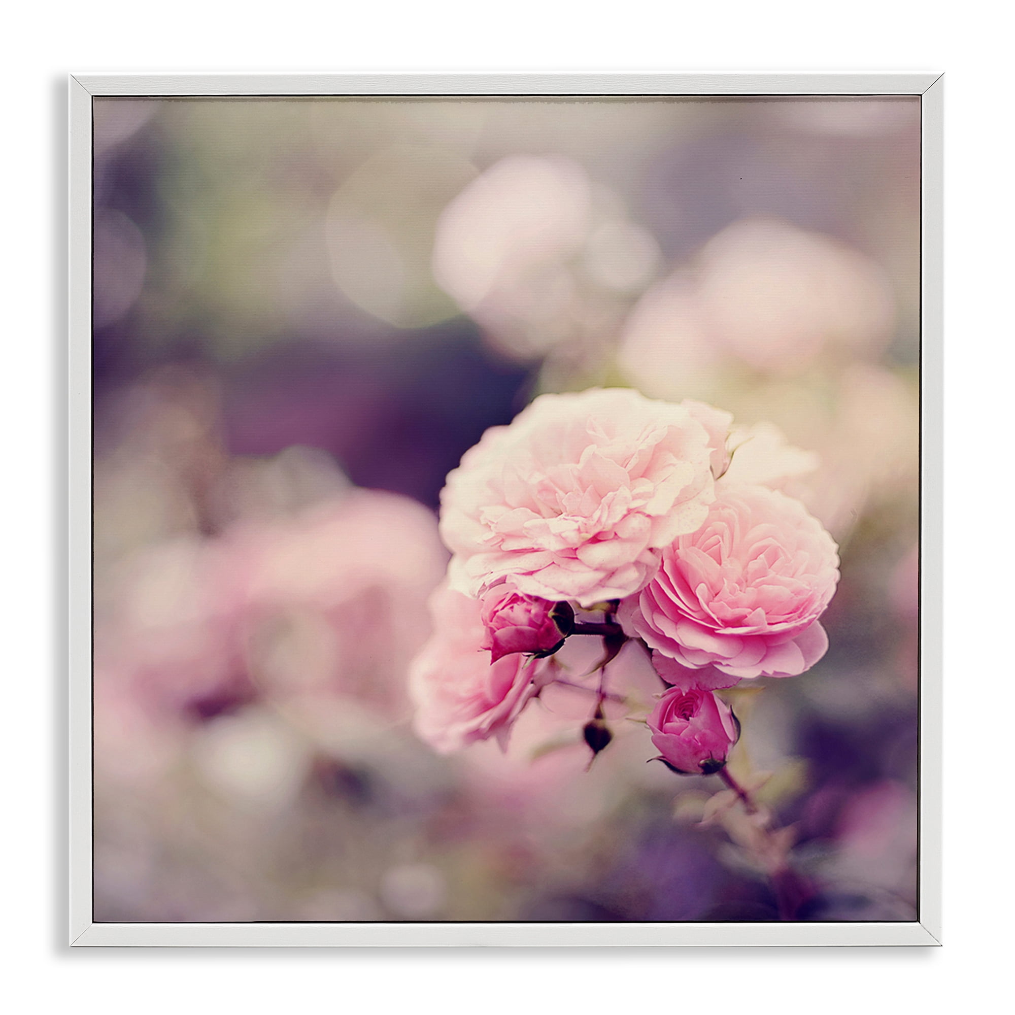 Stupell Industries Pink Garden Ranunculus Plants & Flowers Photography White Framed Art Print Wall Art, 17 x 17