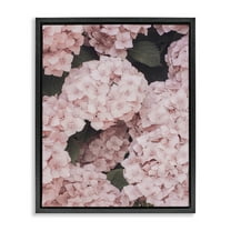 Stupell Industries Pink Hydrangea Blossoms Plants & Flowers Photography Black Floater Framed Canvas Art Print Wall Art, 17 x 21