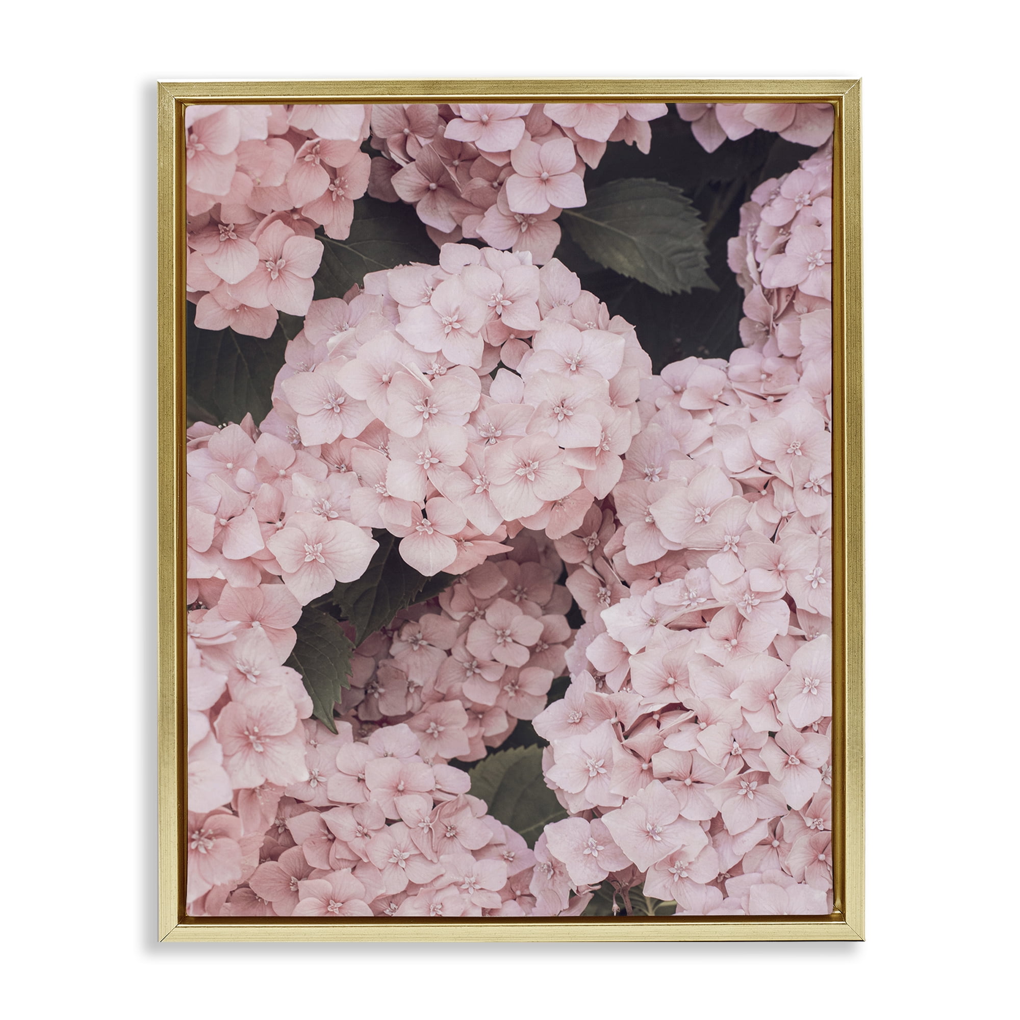 Stupell Industries Pink Hydrangea Blossoms Plants & Flowers Photography Gold Floater Framed Canvas Art Print Wall Art, 25 x 31
