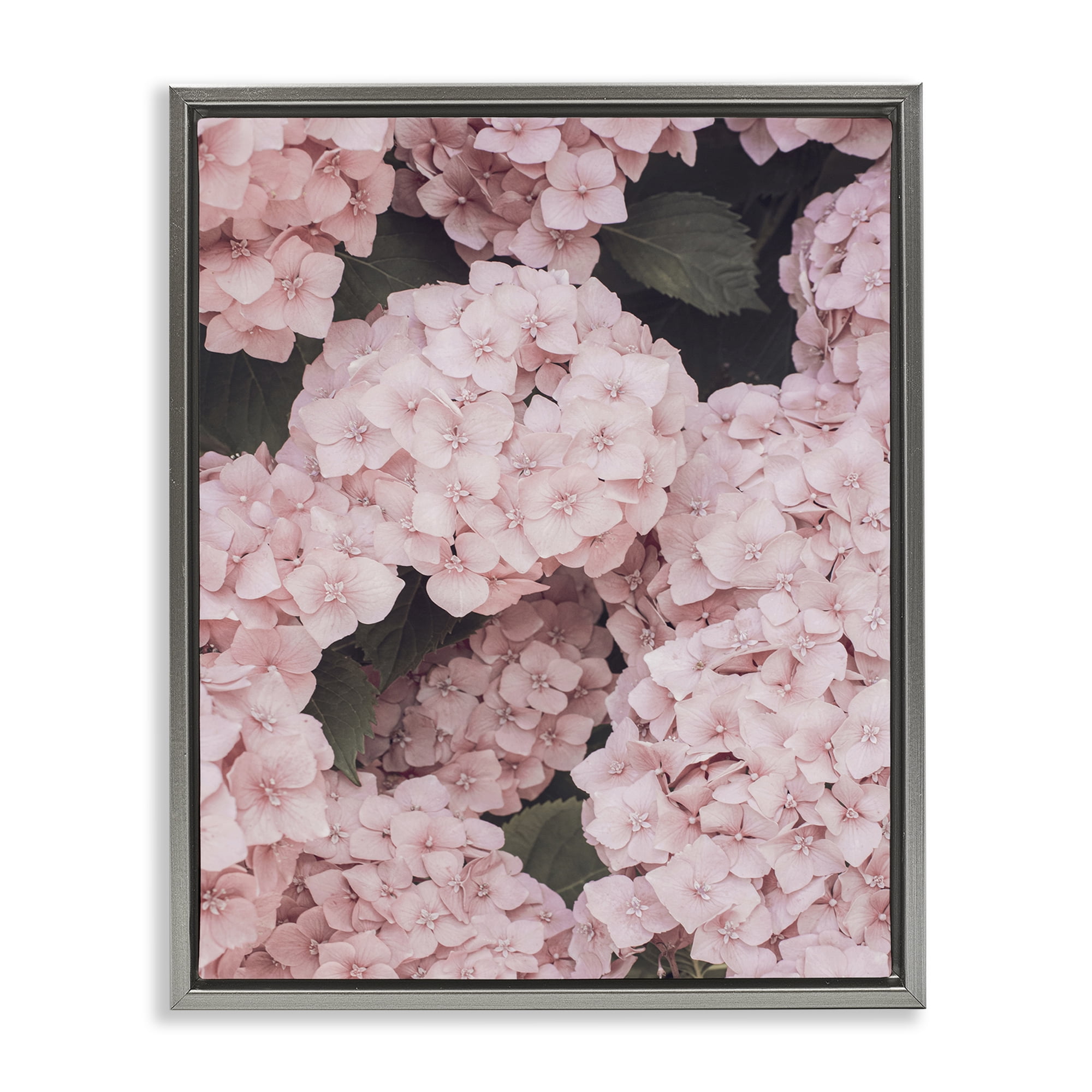 Stupell Industries Pink Hydrangea Blossoms Plants & Flowers Photography Gray Floater Framed Canvas Art Print Wall Art, 17 x 21
