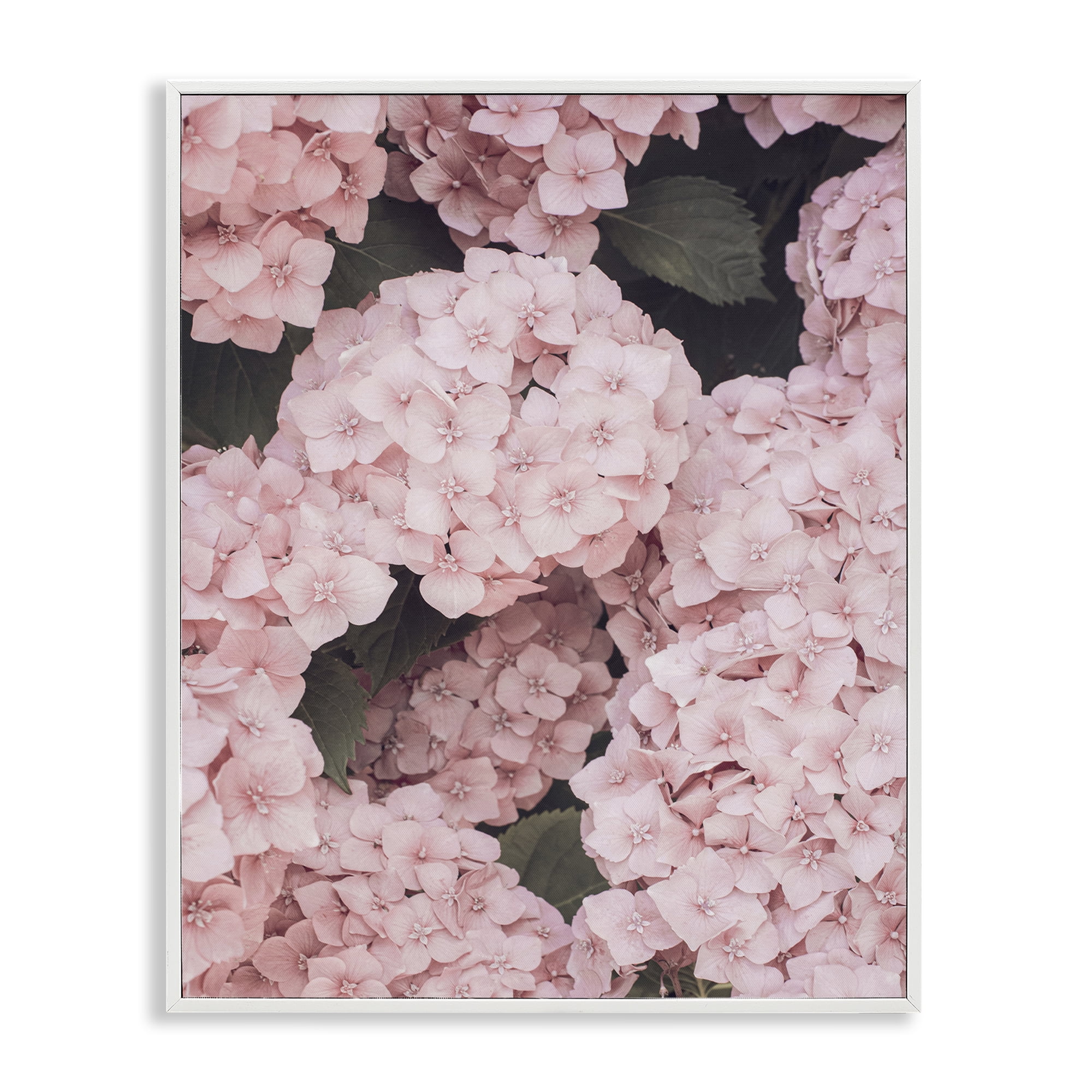 Stupell Industries Pink Hydrangea Blossoms Plants & Flowers Photography White Framed Art Print Wall Art, 11 x 14