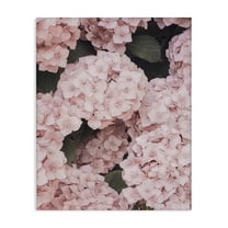 Stupell Industries Pink Hydrangea Blossoms Plants & Flowers Photography Wrapped Canvas Art Print Wall Art, 16 x 20