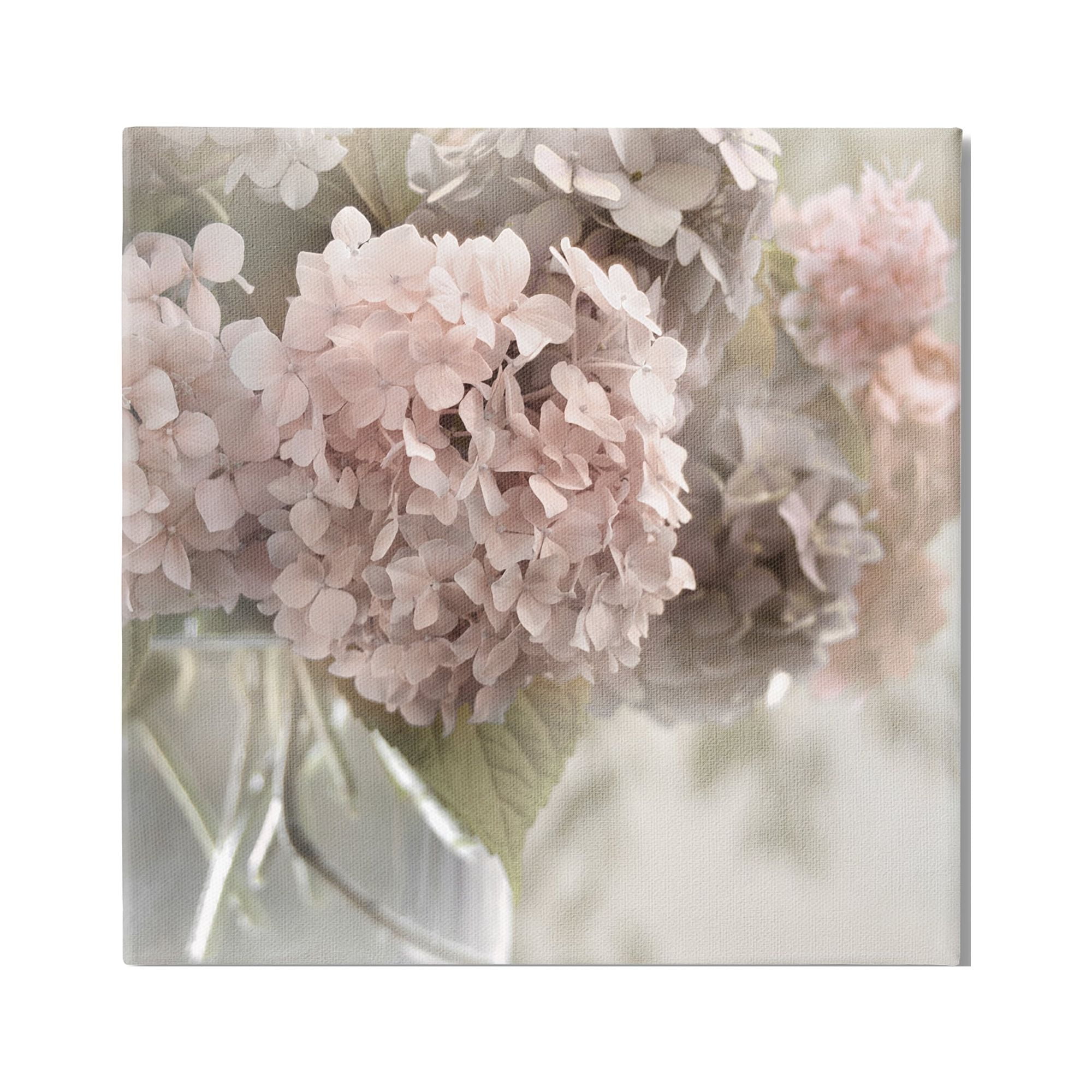 Stupell Industries Pink Hydrangeas Close Up Botanical & Floral Photography Gallery Wrapped Canvas Art Print Wall Art, 24 x 24
