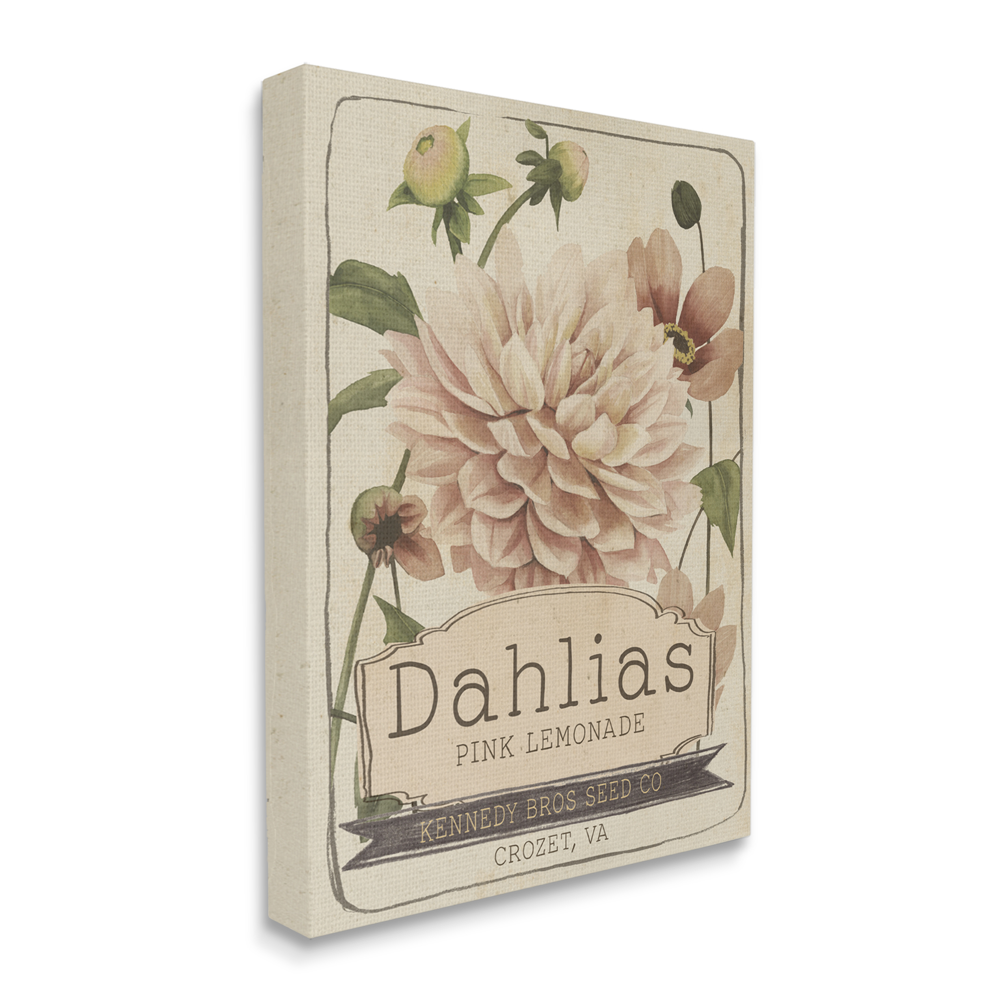 Stupell Industries Pink Lemonade Dahlias Vintage Floral Seed Packet Botanical & Floral Painting Gallery Wrapped Canvas Print Wall Art, 24 x 30