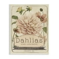 thumbnail image 1 of Stupell Industries Pink Lemonade Dahlias Vintage Floral Seed Packet Botanical & Floral Painting Unframed Art Print Wall Art, 13 x 19, 1 of 6
