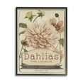 thumbnail image 1 of Stupell Industries Pink Lemonade Dahlias Vintage Floral Seed Packet Farmhouse Painting Black Framed Art Print Wall Art, 11 x 14, Design by Studio W, 1 of 7