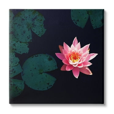 Stupell Industries Pink Lotus Pond Lily Flower Botanical & Floral Photography Gallery Wrapped Canvas Print Wall Art